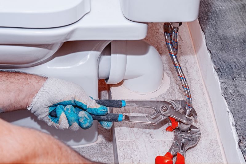 Toilet Plunging detail